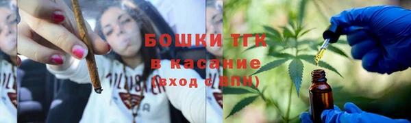 винт Богданович