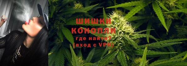 твердый Медногорск