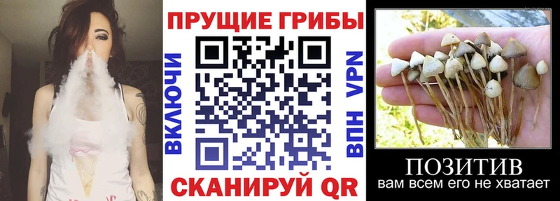 ОМГ ОМГ   Ступино  Галлюциногенные грибы Magic Shrooms 