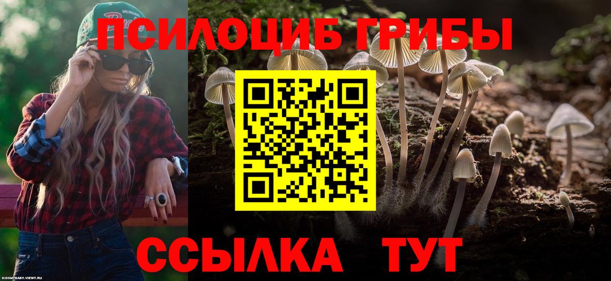 Псилоцибиновые грибы Cubensis  даркнет сайт  Ступино 