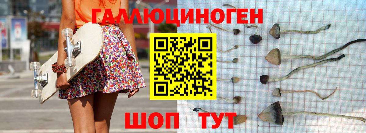 купить наркотик  Вход с VPN  Галлюциногенные грибы MAGIC MUSHROOMS  Ступино  Псилоцибиновые грибы Cubensis 
