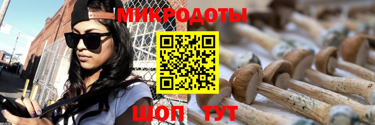 Псилоцибиновые грибы Magic Shrooms Ступино