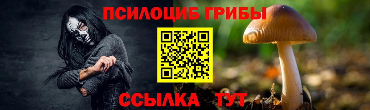 Псилоцибиновые грибы мухоморы Ступино